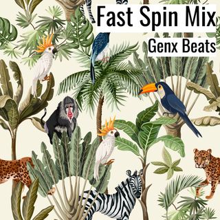 Fast Spin Mix