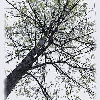 Happy Hiphop Beats Vol. 5