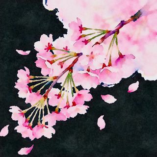 Smooth Hiphop Rap Beat (Faster)